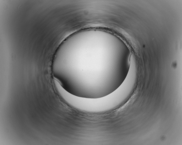 X0000103131361200809191931