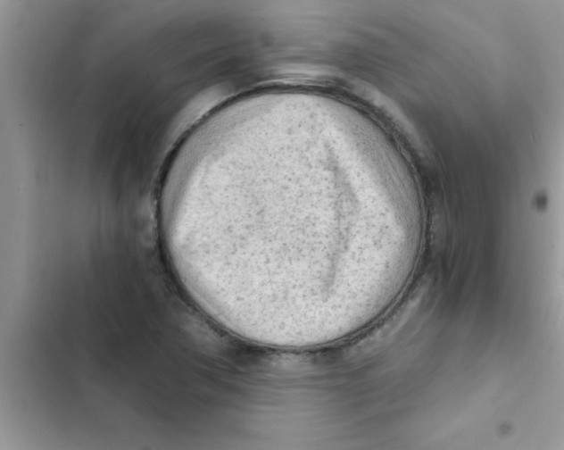 X0000103131362200809191931