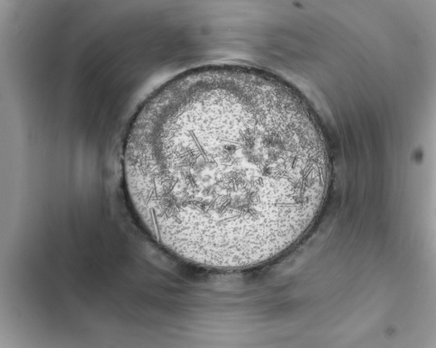 X0000103131363200809191931