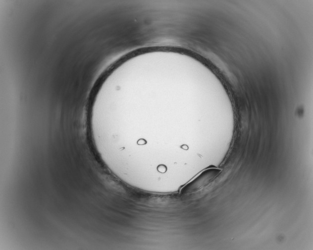 X0000103131364200809191931