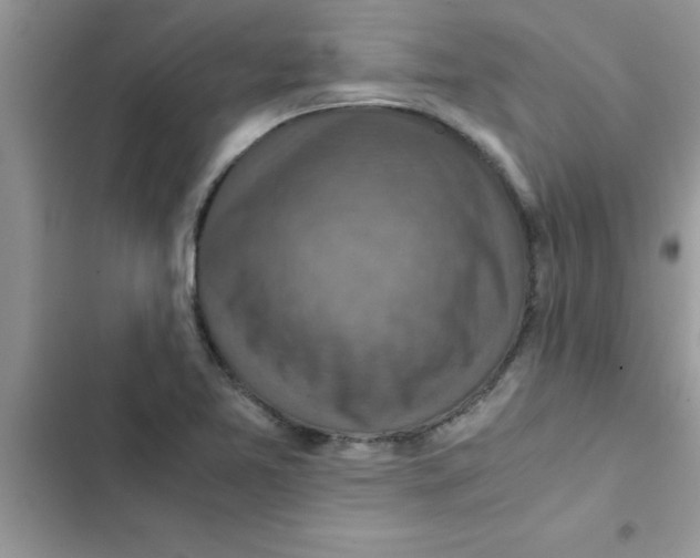 X0000103131365200809191931
