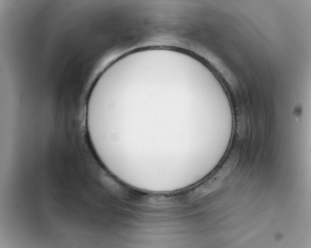 X0000103131366200809191931