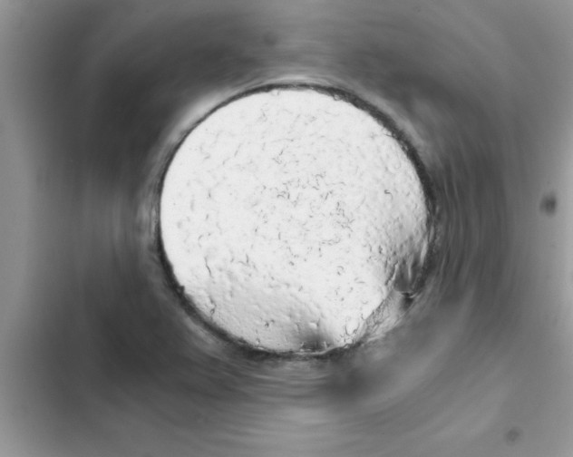 X0000103131367200809191931