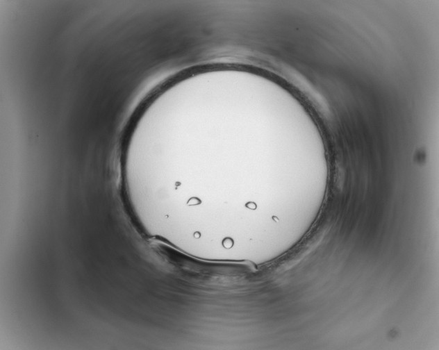 X0000103131368200809191931