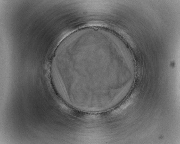 X0000103131369200809191931