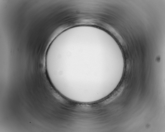 X0000103131370200809191931