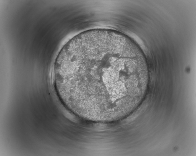 X0000103131371200809191931