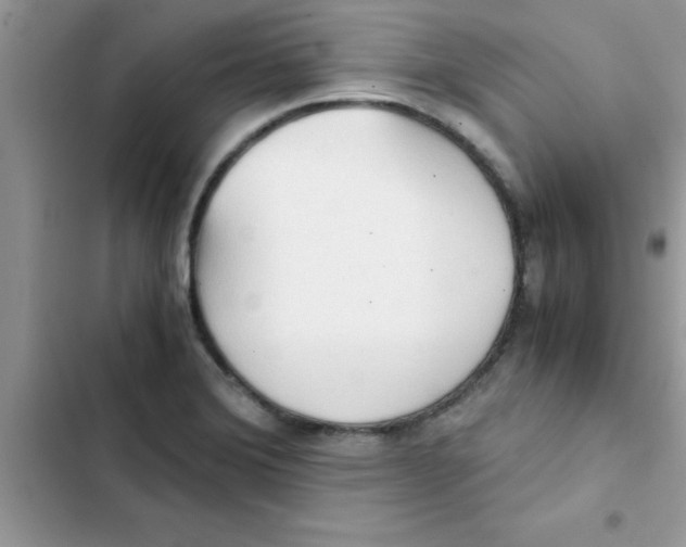 X0000103131372200809191931