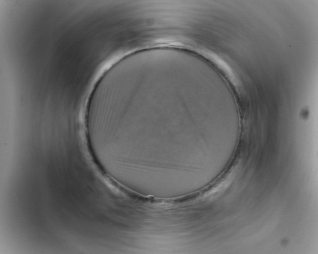 X0000103131373200809191931