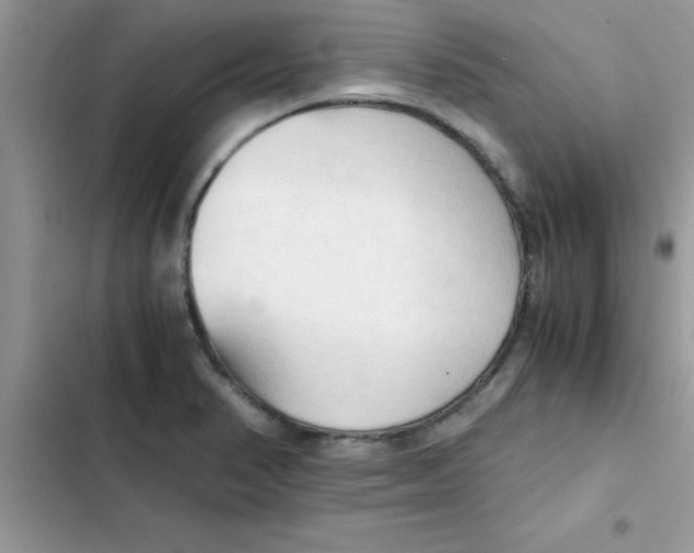 X0000103131374200809191931