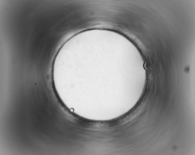 X0000103131375200809191931