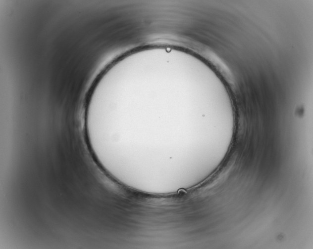 X0000103131376200809191931