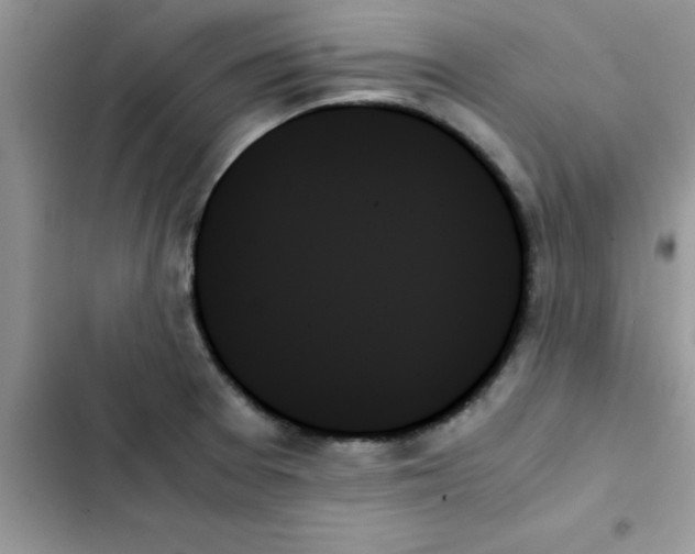 X0000103131377200809191931