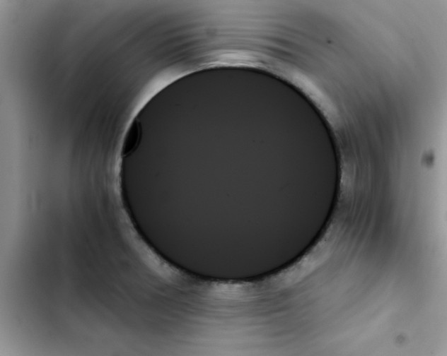 X0000103131378200809191931
