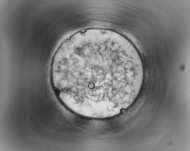 X0000103131379200809191931