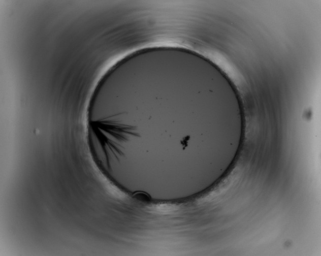 X0000103131380200809191931