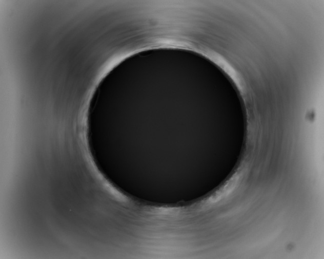 X0000103131381200809191931