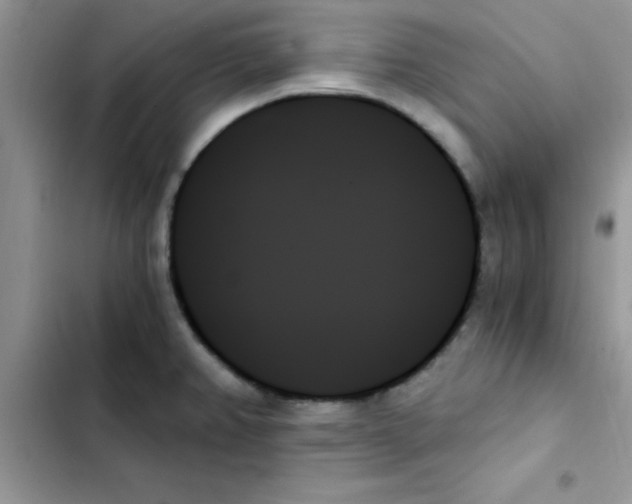 X0000103131382200809191931