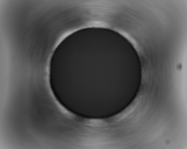 X0000103131383200809191931