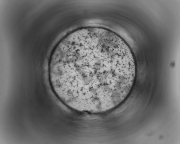 X0000103131384200809191931