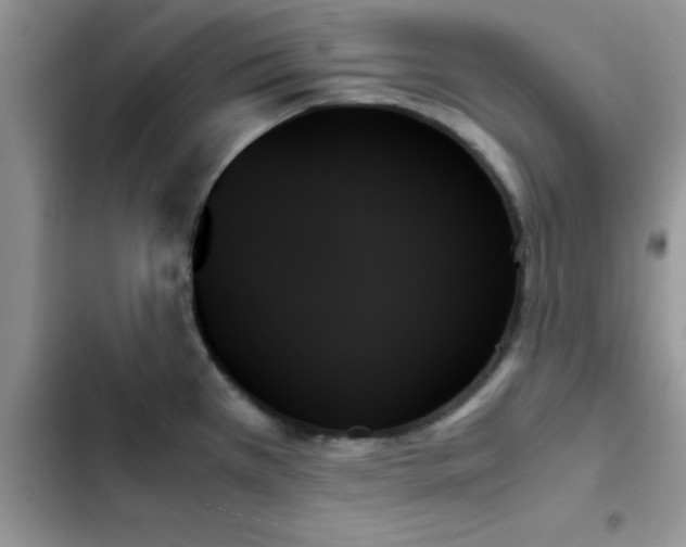X0000103131385200809191931