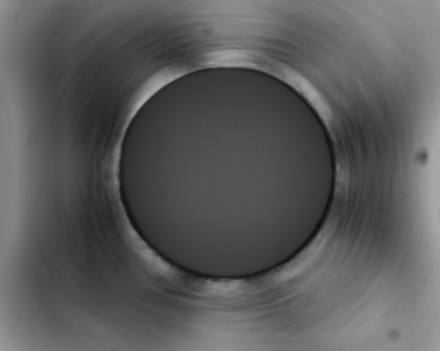 X0000103131386200809191931