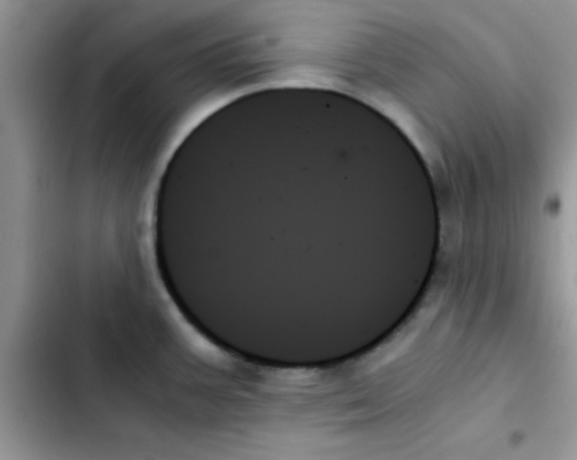 X0000103131387200809191931