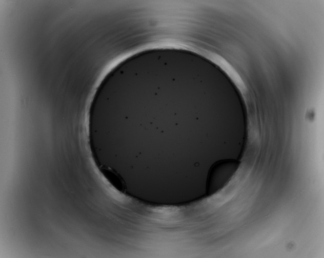 X0000103131388200809191931
