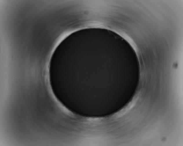 X0000103131389200809191931