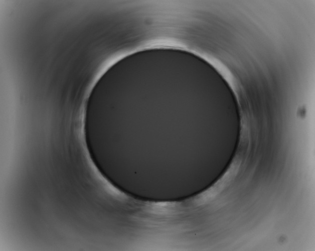 X0000103131390200809191931