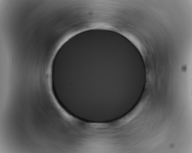 X0000103131391200809191931