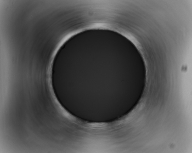 X0000103131392200809191931