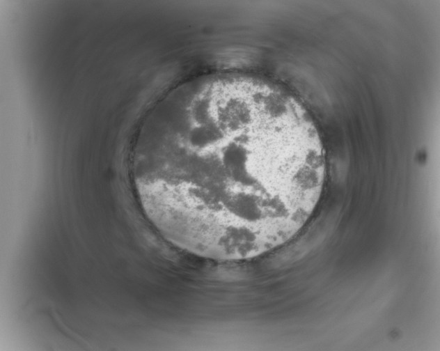 X0000103131393200809191930