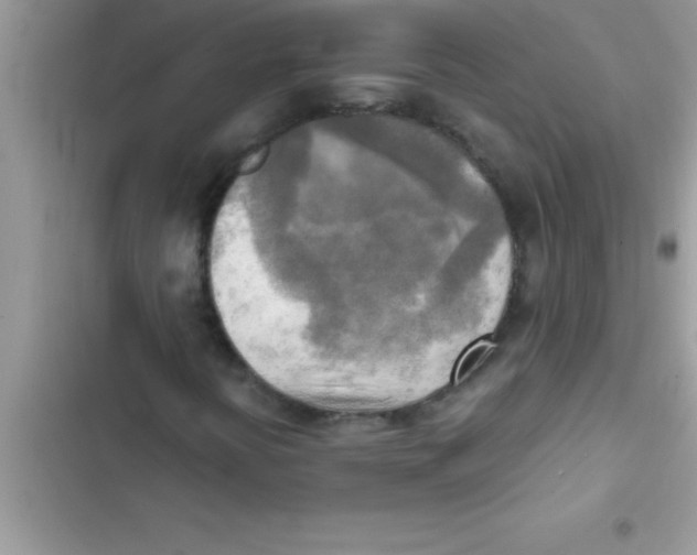 X0000103131394200809191930