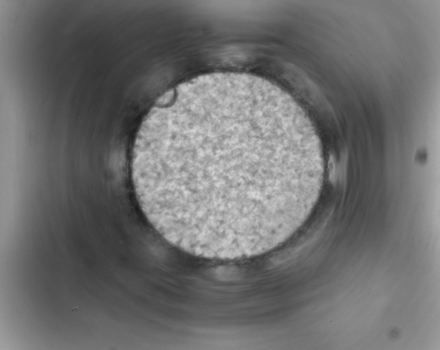 X0000103131395200809191930
