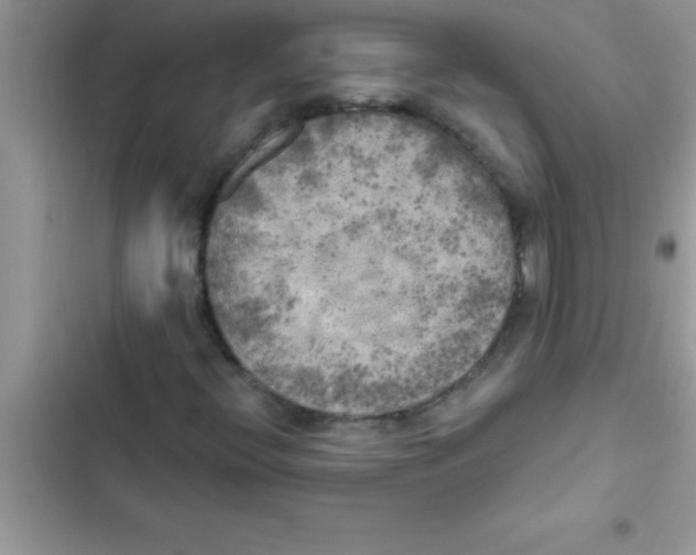X0000103131396200809191930