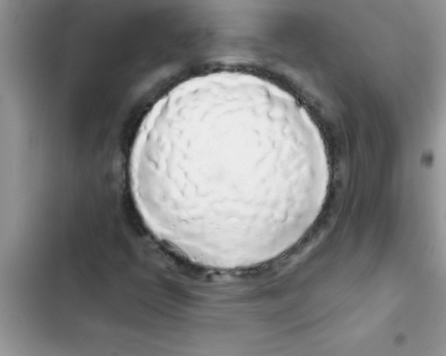 X0000103131398200809191930