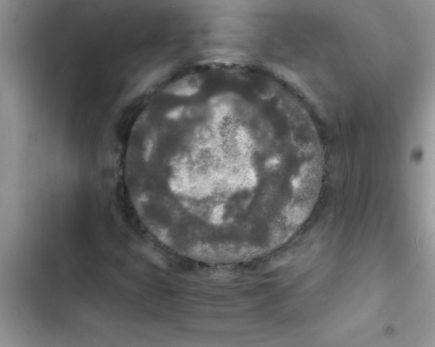 X0000103131399200809191930