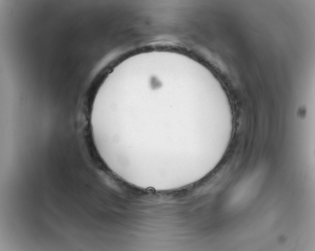 X0000103131400200809191930