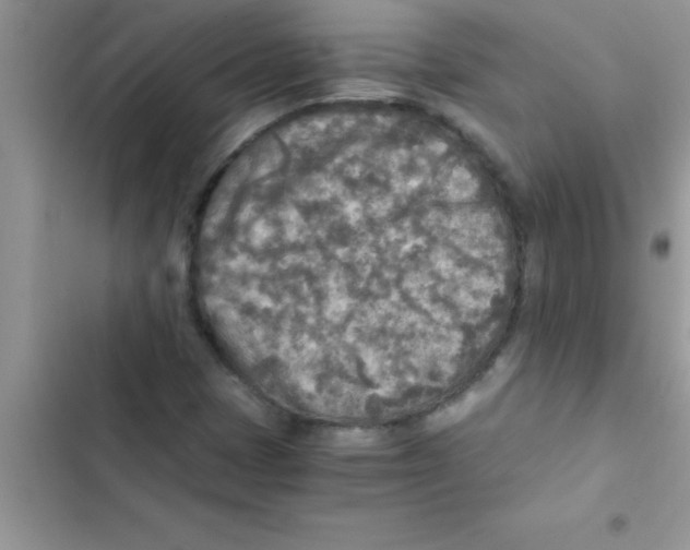 X0000103131401200809191930