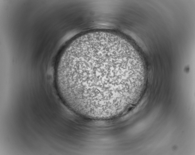 X0000103131402200809191930