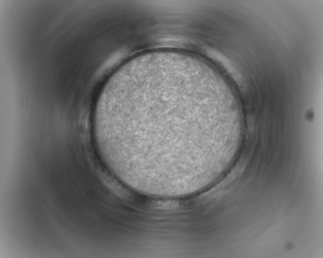 X0000103131403200809191930