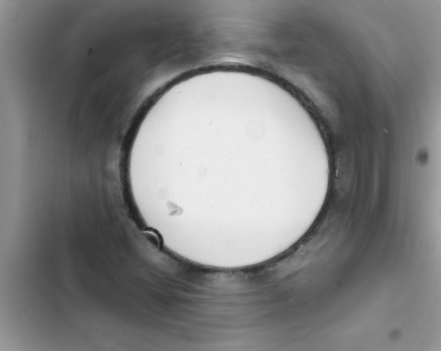 X0000103131404200809191930
