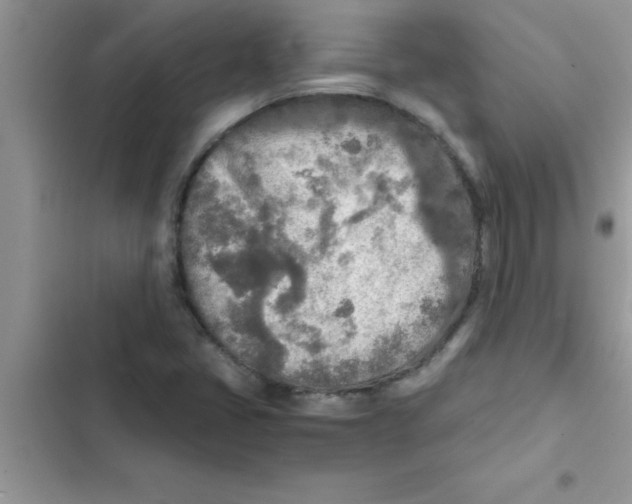 X0000103131405200809191930