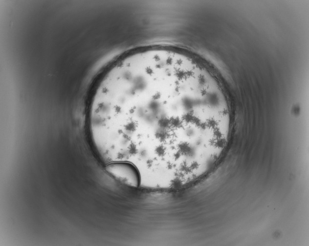 X0000103131406200809191930