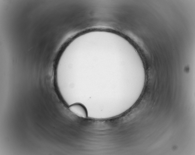 X0000103131408200809191930
