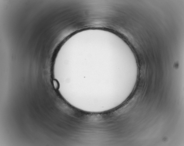X0000103131410200809191930