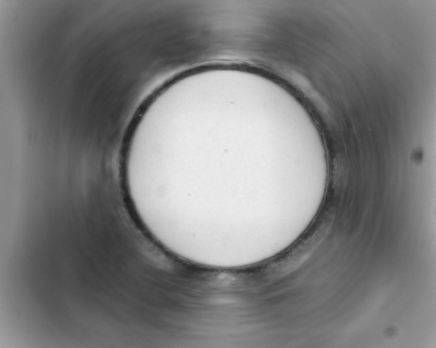 X0000103131412200809191930