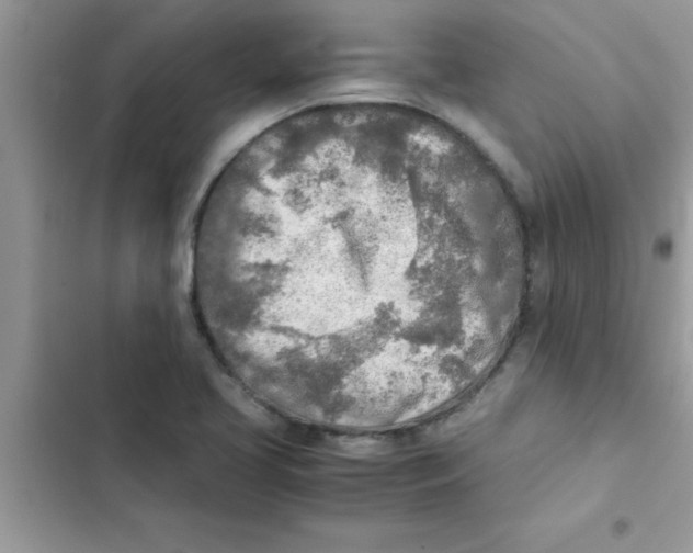 X0000103131413200809191930