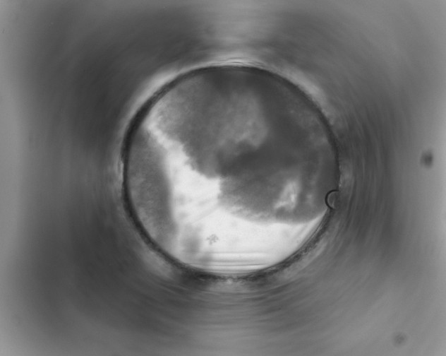 X0000103131414200809191930